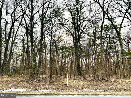 LOT 3 N TIMBER RIDGE ROAD, CROSS JUNCTION, VA 22625, photo 4 of 9