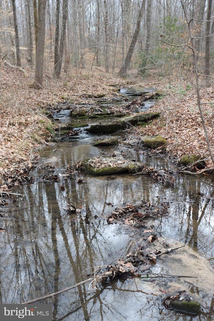 Bumpass, Virginia, 23024, United States, 1 Bedroom Bedrooms, ,2 BathroomsBathrooms,Residential,Active,1953381