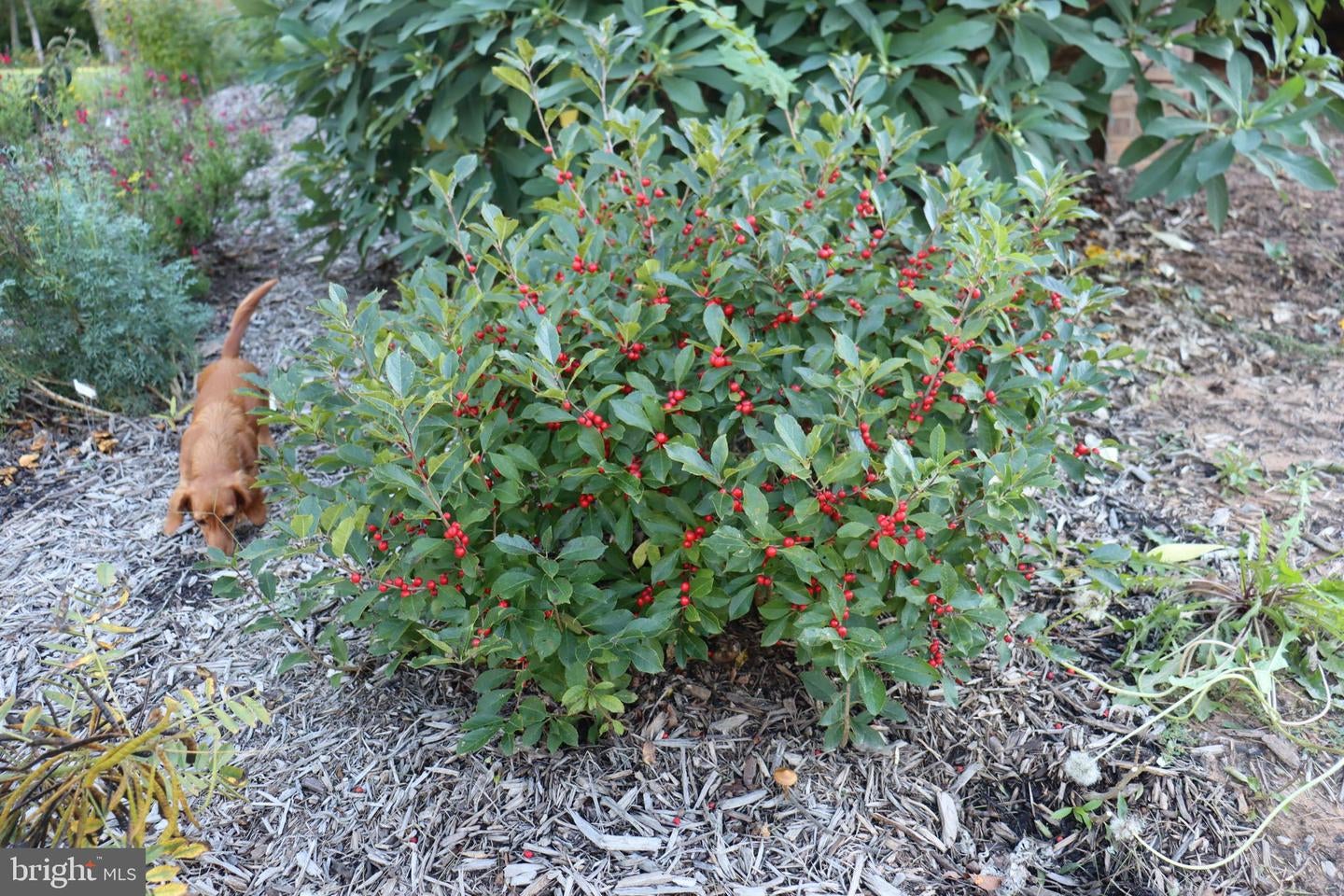 Bumpass, Virginia, 23024, United States, 1 Bedroom Bedrooms, ,2 BathroomsBathrooms,Residential,Active,1953381