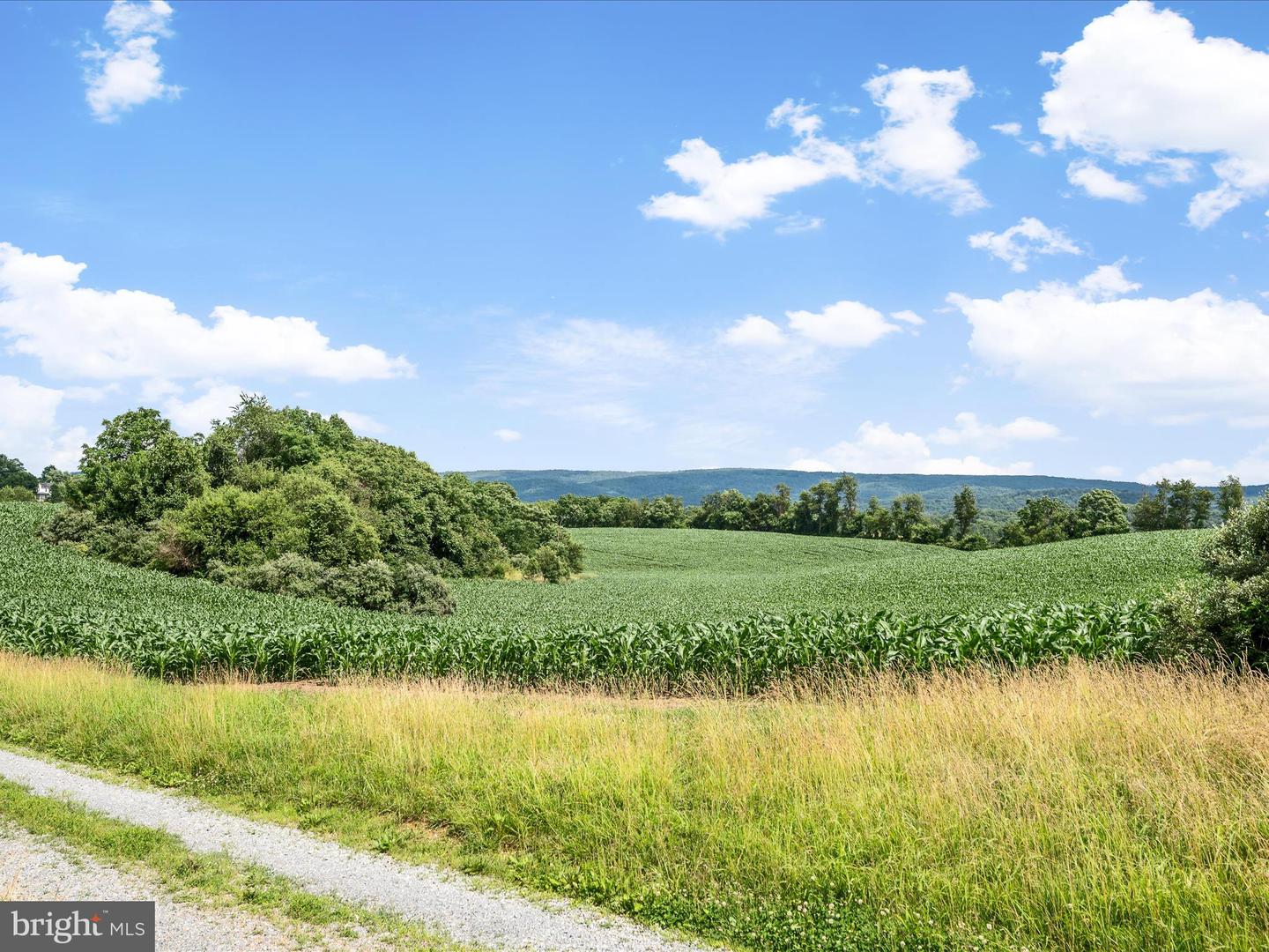 Berryville, Virginia, 22611, United States, 4 Bedrooms Bedrooms, ,3 BathroomsBathrooms,Residential,Active,1884871