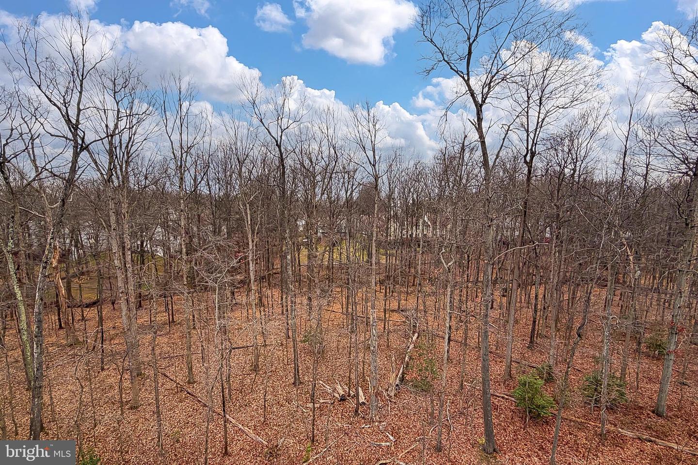 Fairfax, Virginia, 22033, United States, 4 Bedrooms Bedrooms, ,5 BathroomsBathrooms,Residential,Active,2010219