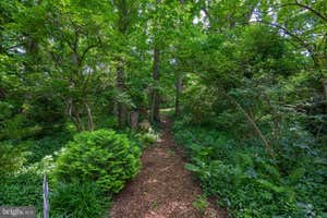 Property 63