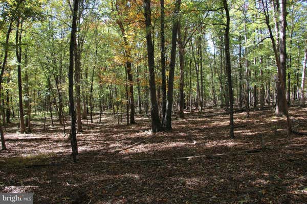 SADLICK LOT I ROAD, STRASBURG, VA 22657 - Image 1