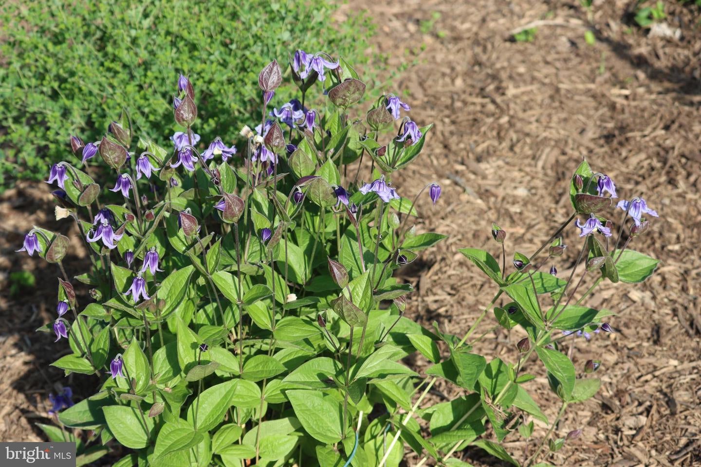 Bumpass, Virginia, 23024, United States, 1 Bedroom Bedrooms, ,2 BathroomsBathrooms,Residential,Active,1953381