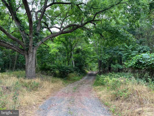 GAITHER ROAD, GREAT CACAPON, WV 25422 - Image 1