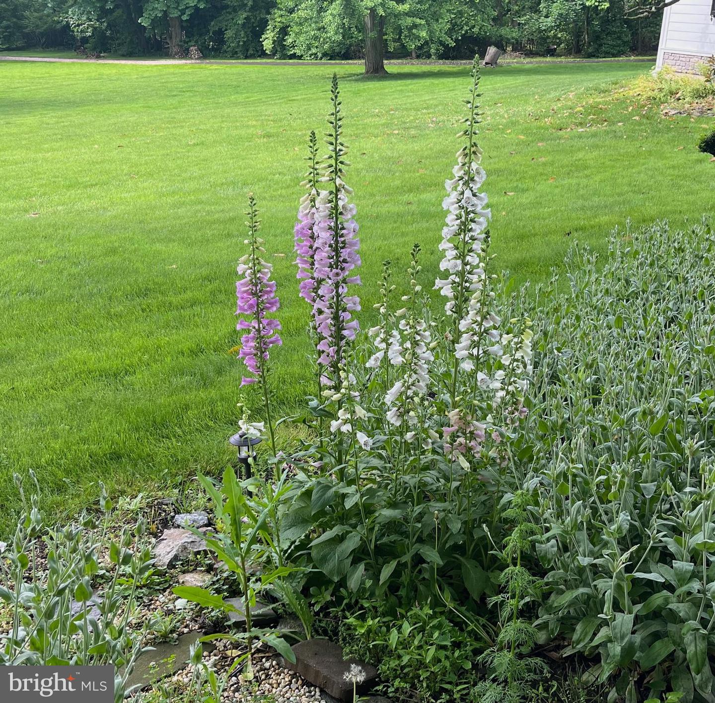 Jenkintown, Pennsylvania, 19046, United States, 6 Bedrooms Bedrooms, ,5 BathroomsBathrooms,Residential,Active,2010560