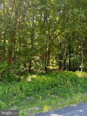 0 KLINE HOLLOW RD LOT 3, LIVERPOOL, PA 17045 - Image 1