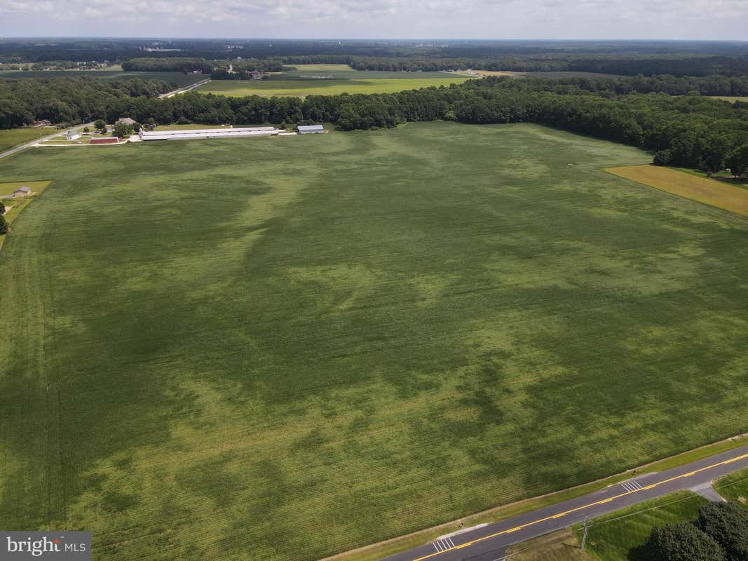 LOT 2 WOODLAND FERRY ROAD, SEAFORD, DE 19973, photo 4 of 7