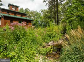 Property 61