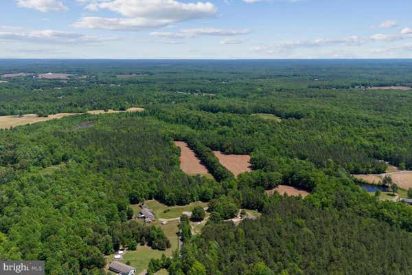 MAGGIES ROAD, WOODFORD, VA 22580, photo 2 of 13