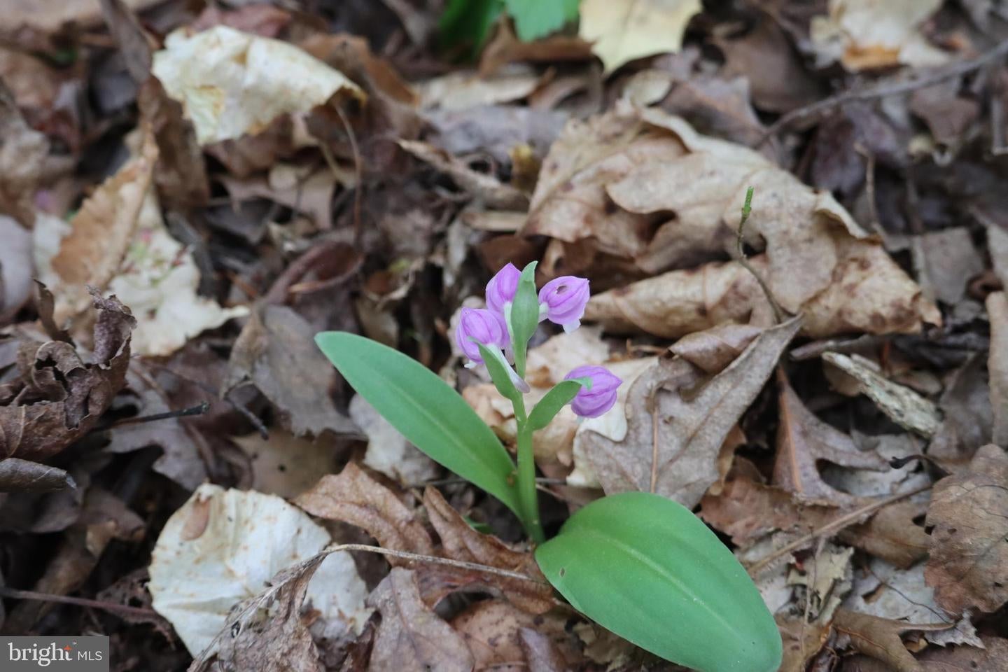 Bumpass, Virginia, 23024, United States, 1 Bedroom Bedrooms, ,2 BathroomsBathrooms,Residential,Active,1953381