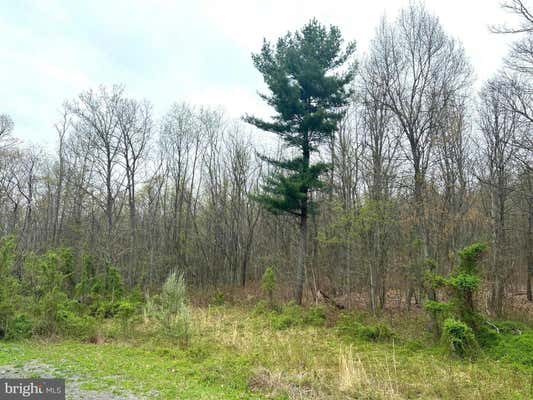 LOT #18 RIDGE WAY DRIVE, EVERETT, PA 15537 - Image 1