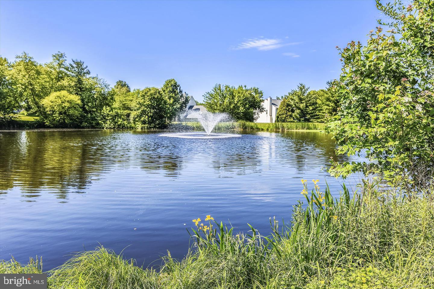 Ashburn, Virginia, 20147, United States, 5 Bedrooms Bedrooms, ,4 BathroomsBathrooms,Residential,Active,1988483