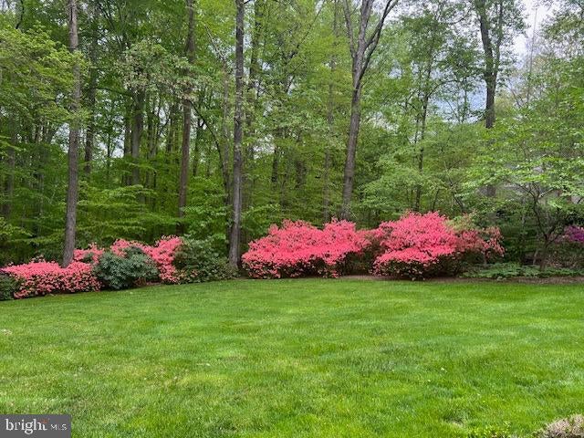 Clifton, Virginia, 20124, United States, 5 Bedrooms Bedrooms, ,4 BathroomsBathrooms,Residential,Active,1943827