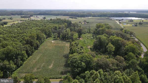 13.585 AC., TRACT 1 PEPPER RD., GEORGETOWN, DE 19947 - Image 1