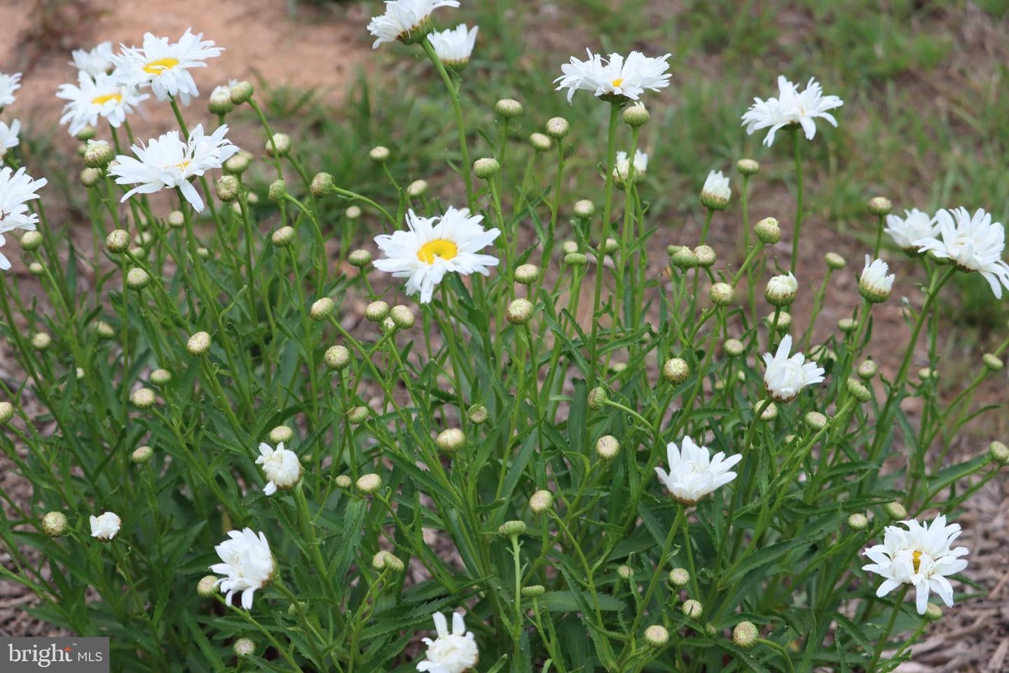 Bumpass, Virginia, 23024, United States, 1 Bedroom Bedrooms, ,2 BathroomsBathrooms,Residential,Active,1953381