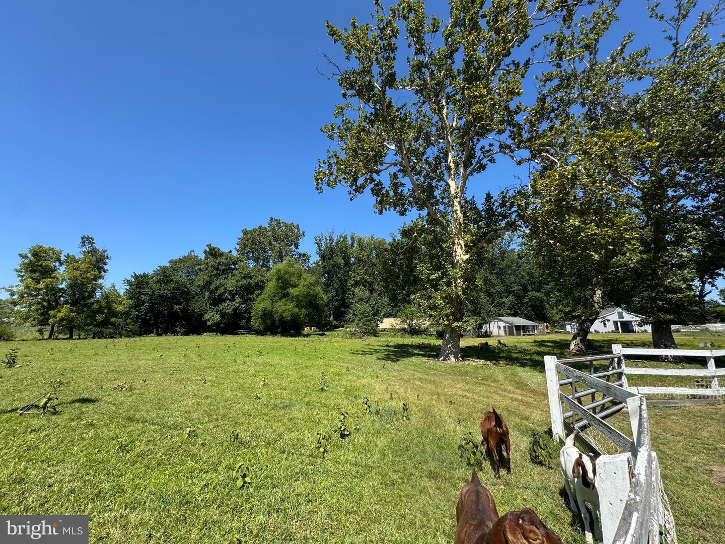 Delanco, New Jersey, 08075, United States, 5 Bedrooms Bedrooms, ,3 BathroomsBathrooms,Residential,Active,1914605