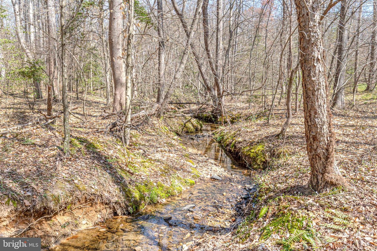 Bumpass, Virginia, 23024, United States, 1 Bedroom Bedrooms, ,2 BathroomsBathrooms,Residential,Active,1953381