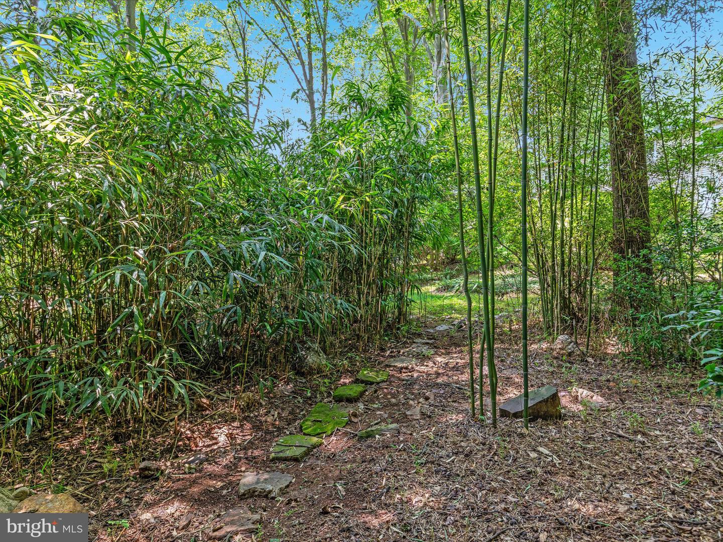 Clifton, Virginia, 20124, United States, 5 Bedrooms Bedrooms, ,5 BathroomsBathrooms,Residential,Active,1998598