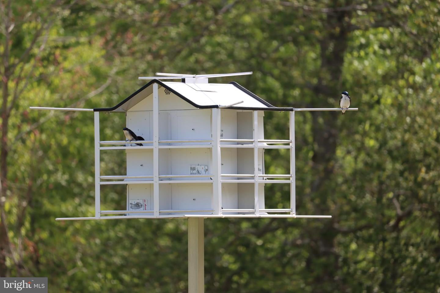 Bumpass, Virginia, 23024, United States, 1 Bedroom Bedrooms, ,2 BathroomsBathrooms,Residential,Active,1953381