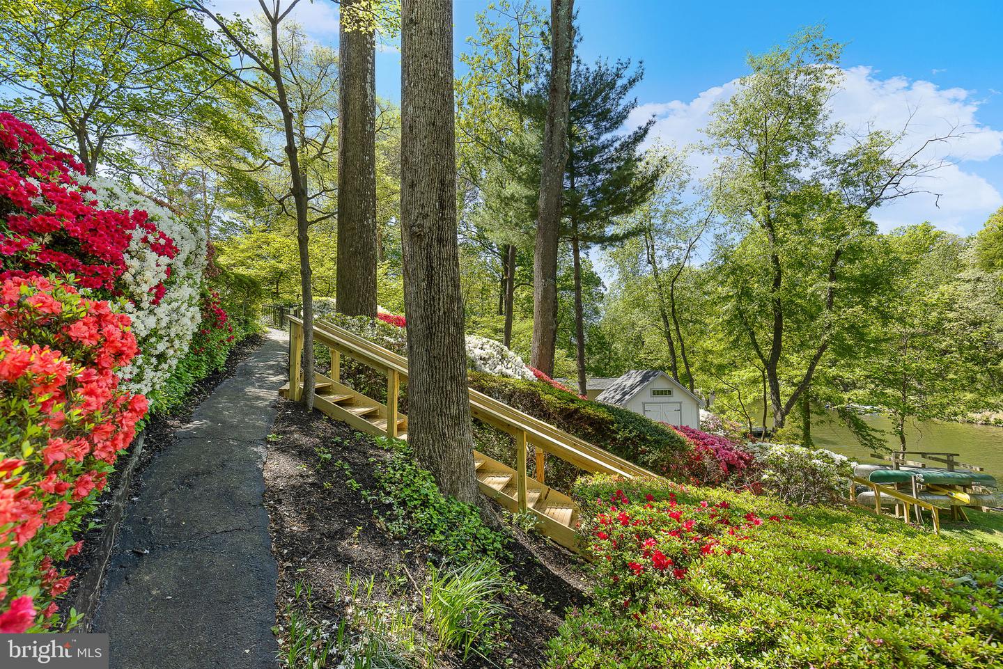 Falls Church, Virginia, 22041, United States, ,3 BathroomsBathrooms,Residential,Active,1843858