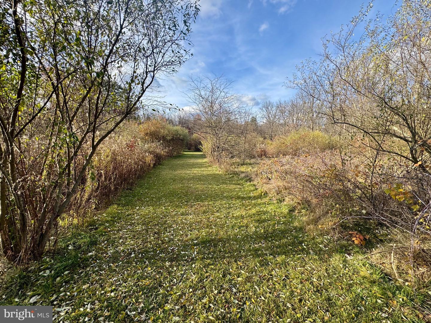 State College, Pennsylvania, 16801, United States, 4 Bedrooms Bedrooms, ,4 BathroomsBathrooms,Residential,Active,1988791