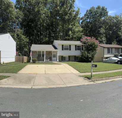 8123 WINTER BLUE CT, SPRINGFIELD, VA 22153 - Image 1