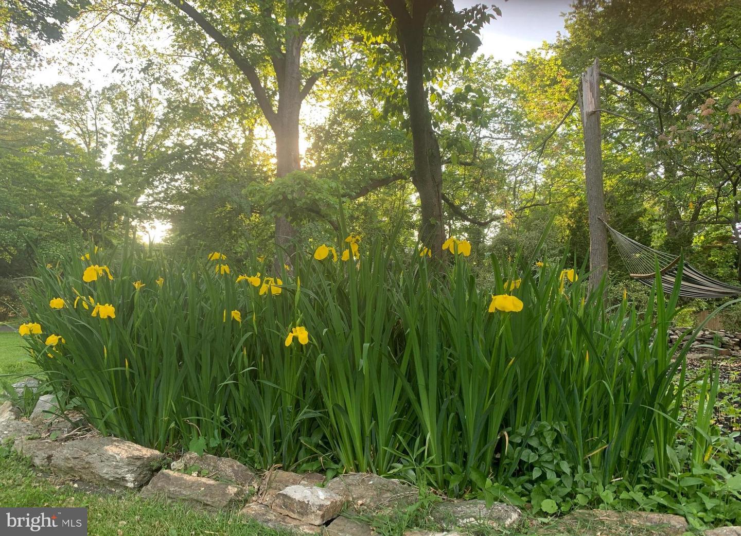 Jenkintown, Pennsylvania, 19046, United States, 6 Bedrooms Bedrooms, ,5 BathroomsBathrooms,Residential,Active,2010560