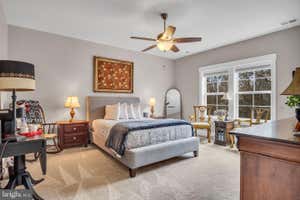 Property 41