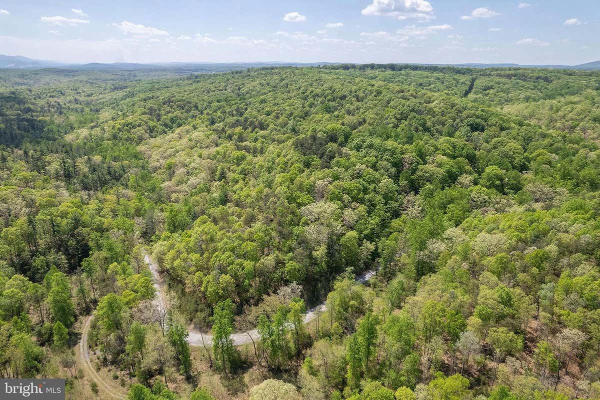 SHOCKEYSVILLE ROAD, WINCHESTER, VA 22603, photo 1 of 13