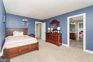 Property 50