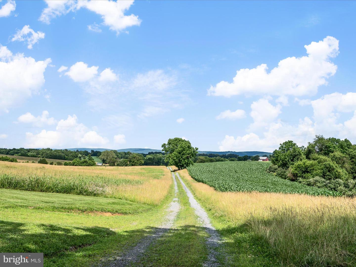 Berryville, Virginia, 22611, United States, 4 Bedrooms Bedrooms, ,3 BathroomsBathrooms,Residential,Active,1884871