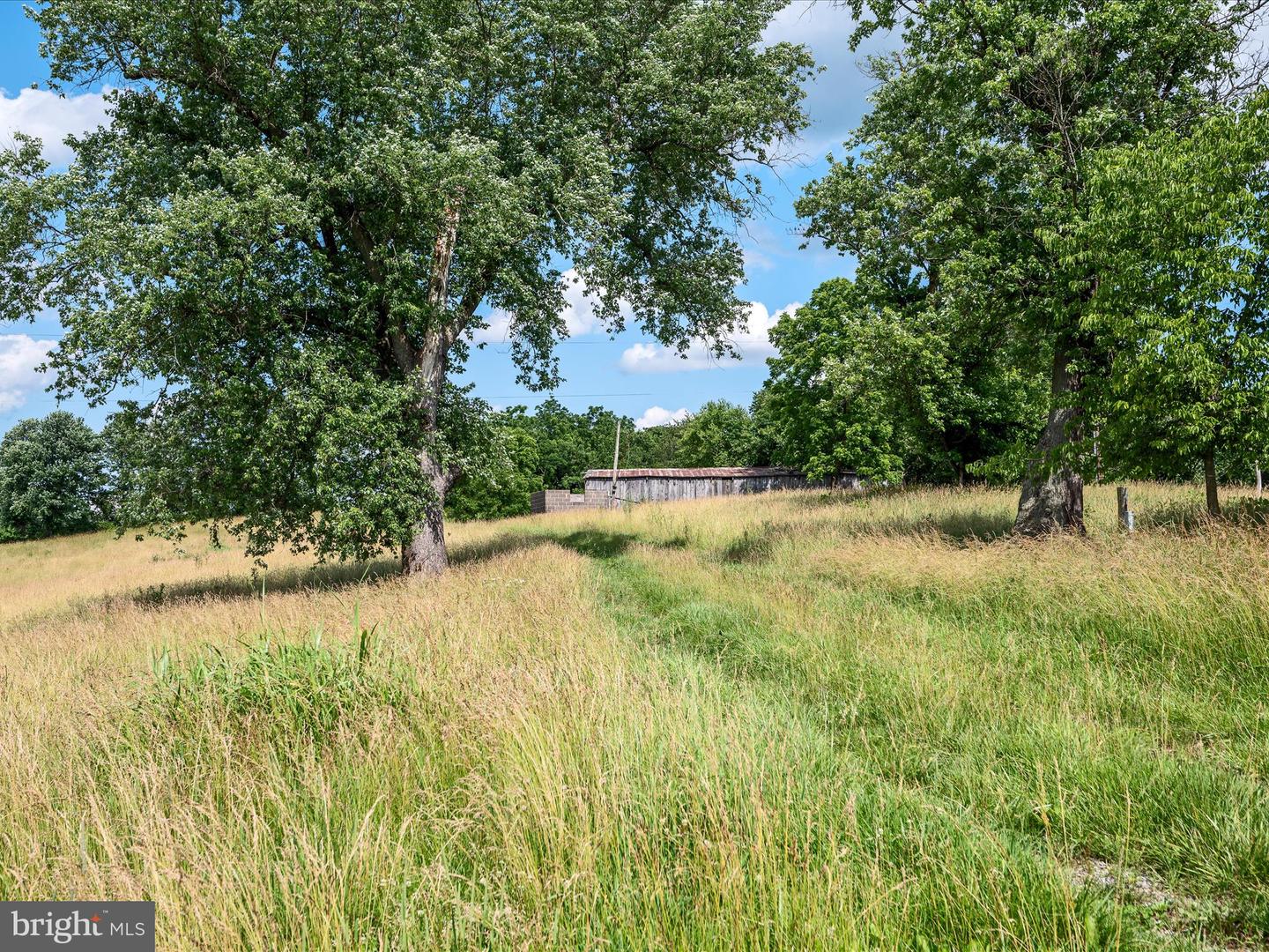 Berryville, Virginia, 22611, United States, 4 Bedrooms Bedrooms, ,3 BathroomsBathrooms,Residential,Active,1884871