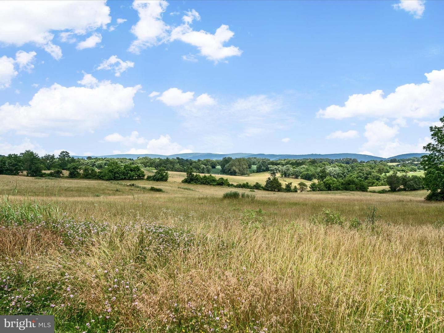 Berryville, Virginia, 22611, United States, 4 Bedrooms Bedrooms, ,3 BathroomsBathrooms,Residential,Active,1884871