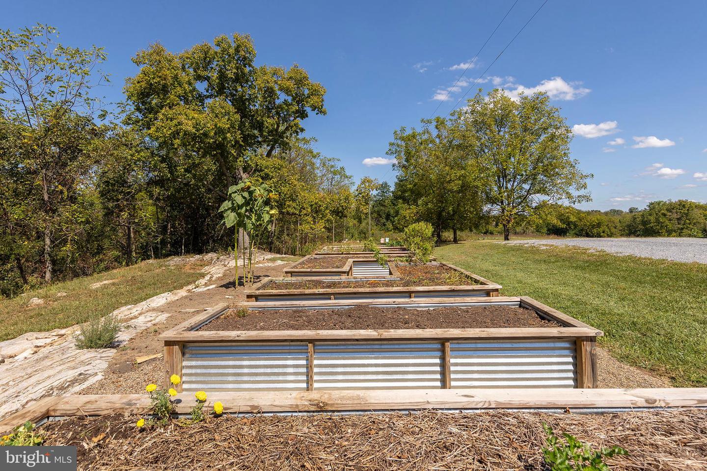 Berryville, Virginia, 22611, United States, 4 Bedrooms Bedrooms, ,4 BathroomsBathrooms,Residential,Active,1945547