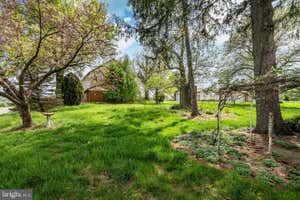 Property 29