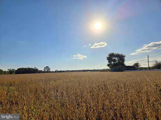 TBD RUST ROAD, MILFORD, DE 19963 - Image 1