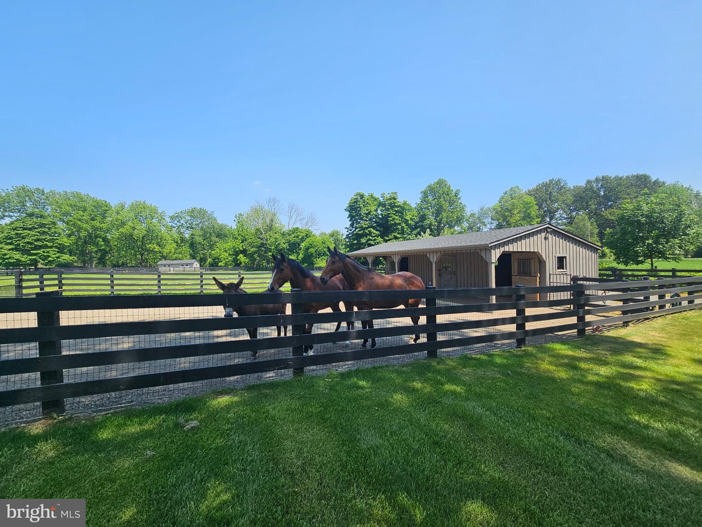 Long Valley, New Jersey, 07853, United States, 4 Bedrooms Bedrooms, ,4 BathroomsBathrooms,Residential,Active,1968372