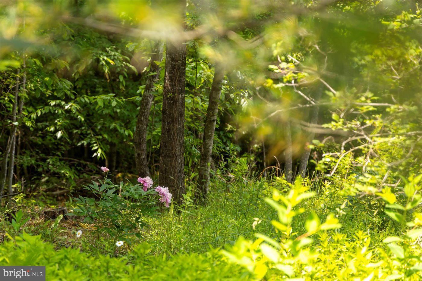 Rhoadesville, Virginia, 22542, United States, 3 Bedrooms Bedrooms, ,3 BathroomsBathrooms,Residential,Active,1769999