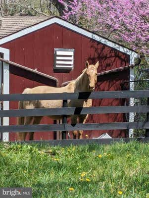 1181 CLARK RD, STEPHENS CITY, VA 22655, photo 3 of 68