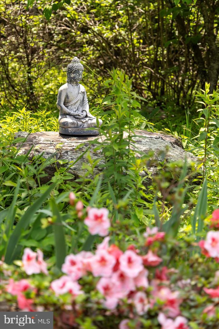 Rhoadesville, Virginia, 22542, United States, 3 Bedrooms Bedrooms, ,3 BathroomsBathrooms,Residential,Active,1769999