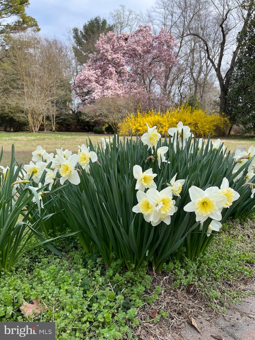 Lusby, Maryland, 20657, United States, 4 Bedrooms Bedrooms, ,3 BathroomsBathrooms,Residential,Active,2024177