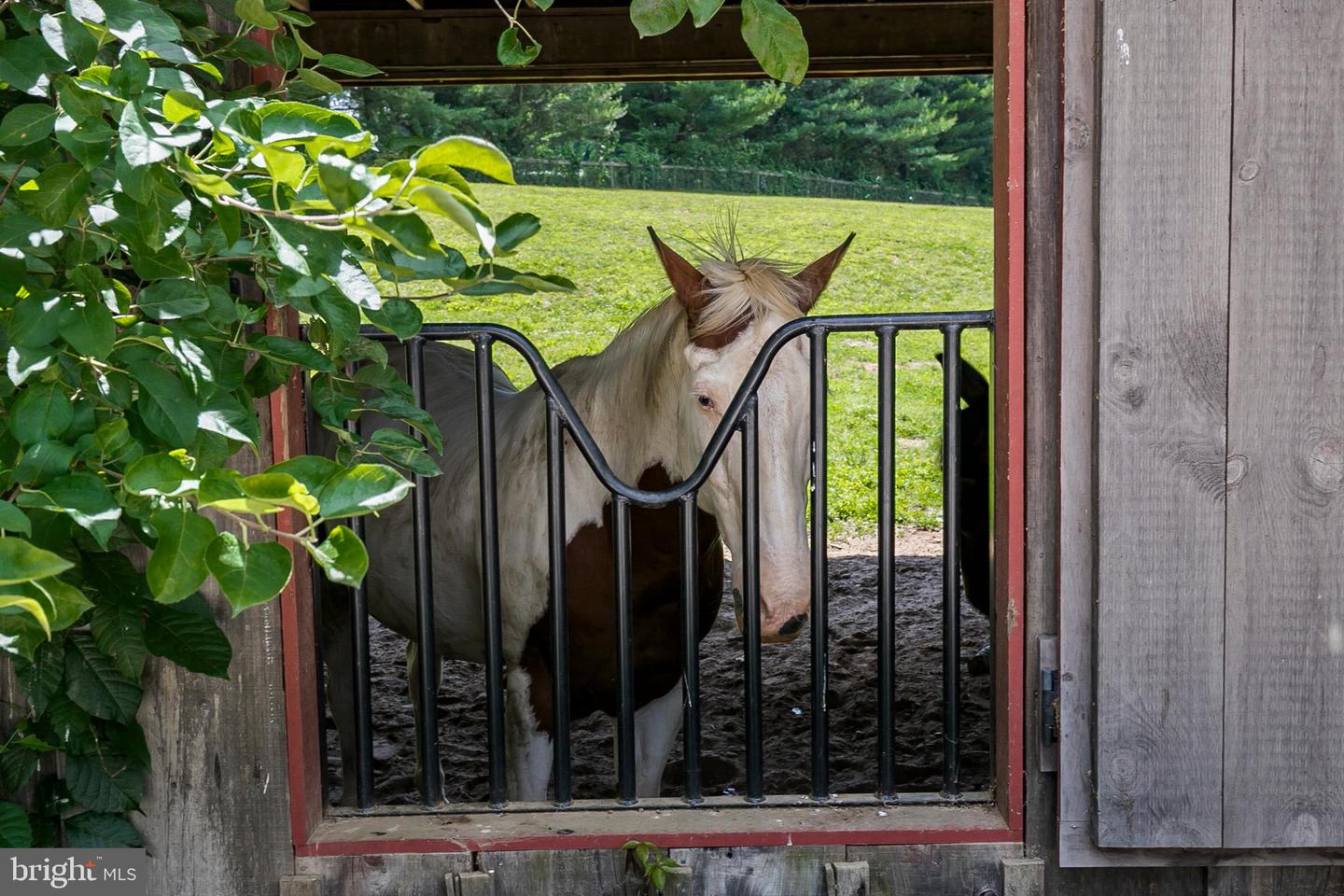 Coatesville, Pennsylvania, 19320, United States, 4 Bedrooms Bedrooms, ,5 BathroomsBathrooms,Residential,Active,1771463