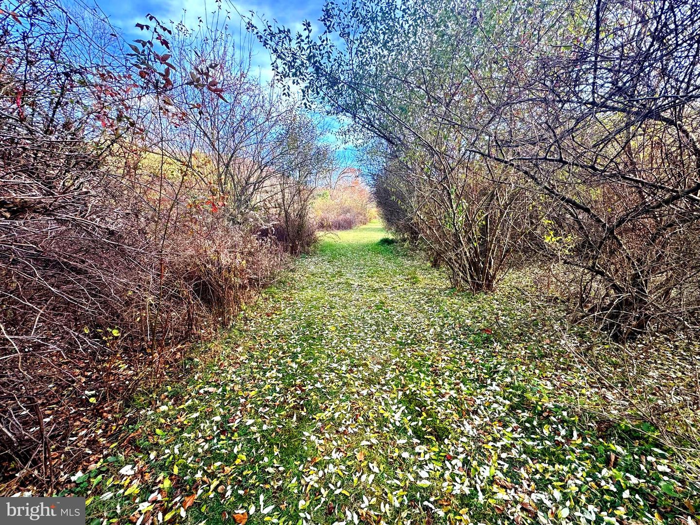 State College, Pennsylvania, 16801, United States, 4 Bedrooms Bedrooms, ,4 BathroomsBathrooms,Residential,Active,1988791