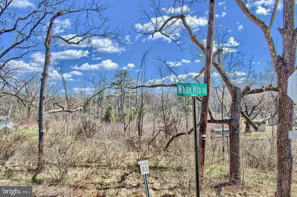 PARCEL #005-110-022 WHITE MOUNTAIN ROAD, WEIKERT, PA 17885 - Image 1