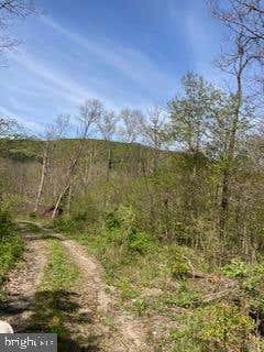 60 ACRES SHEIRER ROAD, BUFFALO MILLS, PA 15534, photo 5 of 35