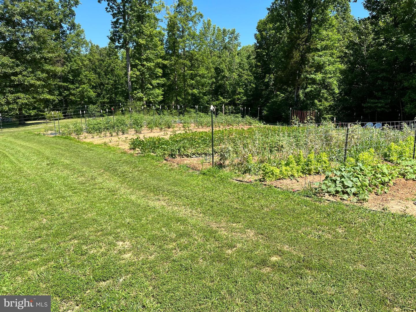 Bumpass, Virginia, 23024, United States, 1 Bedroom Bedrooms, ,2 BathroomsBathrooms,Residential,Active,1953381