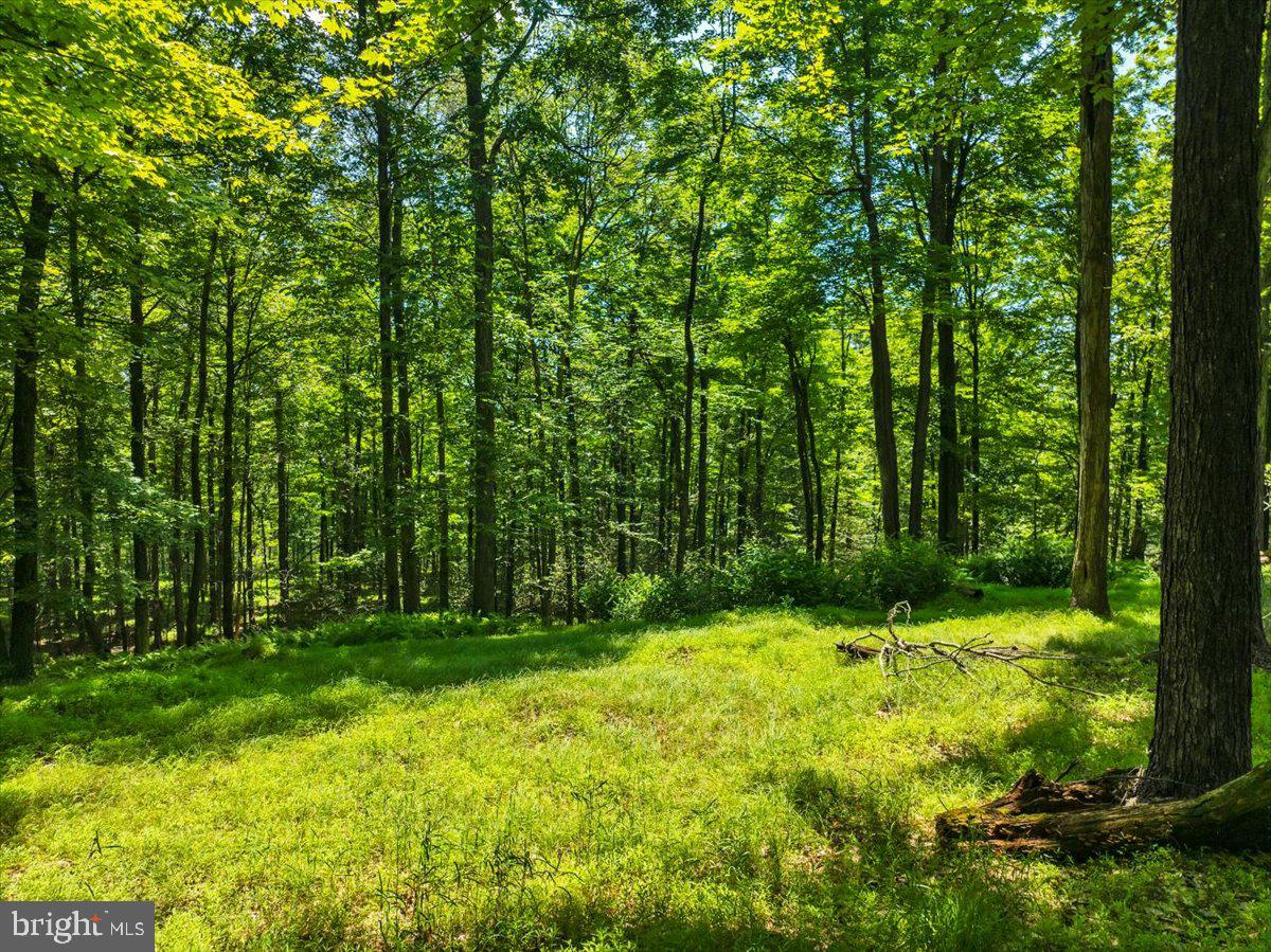 White Haven, Pennsylvania, 18661, United States, 5 Bedrooms Bedrooms, ,3 BathroomsBathrooms,Residential,Active,1888981