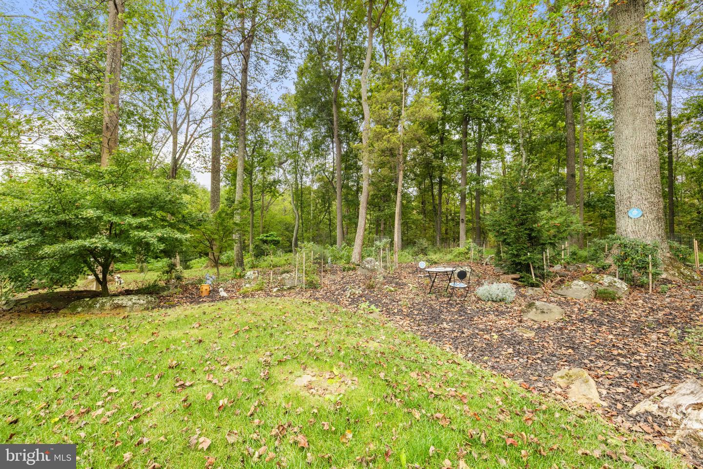 Ashburn, Virginia, 20148, United States, 5 Bedrooms Bedrooms, ,6 BathroomsBathrooms,Residential,Active,1952301