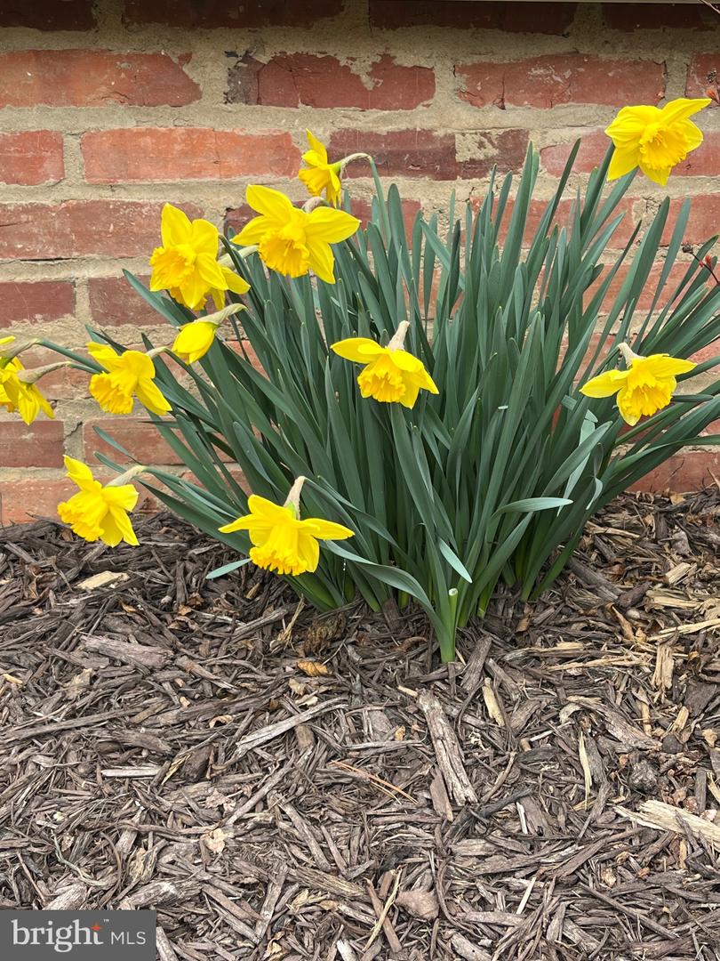 Lusby, Maryland, 20657, United States, 4 Bedrooms Bedrooms, ,3 BathroomsBathrooms,Residential,Active,2024177